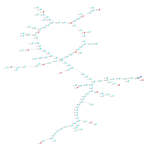Rink maze network graph
